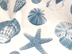 Blue Shell Fabric Nautical Cotton 54” W 4 Yard Lot