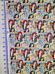 Disney Multi Princess Packed Fabric for Springs Creative Products-3/4 Yd