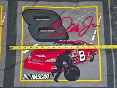 VINTAGE 2004 DALE EARNHARDT NASCAR FABRIC 59″ ~FREE US SHIPPING
