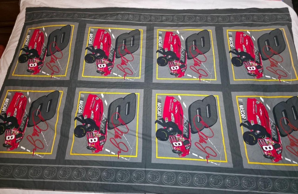 VINTAGE 2004 DALE EARNHARDT NASCAR FABRIC 59″ ~FREE US SHIPPING