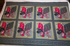 VINTAGE 2004 DALE EARNHARDT NASCAR FABRIC 59″ ~FREE US SHIPPING