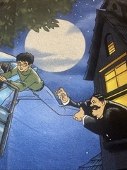 New Vtg. Harry Potter 36″ x 48″ Cotton Felt Panel from Chamber of Secrets