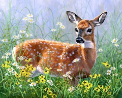 Animal Baby Deer Fawn Fabric Spring Explorer Digital Cotton David 36″X44″ Panel
