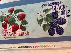 Border Stripe Fresh Sweet Fruit cotton fabric Wilmington prints Cherry BTY
