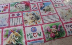 Cotton Quilting Sewing Fabric Studio E KITTY GLITTER Pink/Multi Cats/Kittens BTY