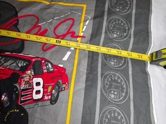VINTAGE 2004 DALE EARNHARDT NASCAR FABRIC 59″ ~FREE US SHIPPING