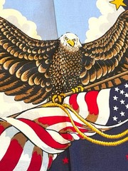 Vintage Patriotic Eagle Fabric Panel Americana Stars & Stripes Cotton Craft