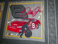 VINTAGE 2004 DALE EARNHARDT NASCAR FABRIC 59″ ~FREE US SHIPPING