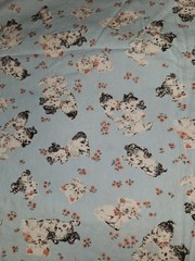 Classic Cottons HTF 2005 Adorable Kitten & Puppy On Blue Cotton Fabric 1.5 Yrds