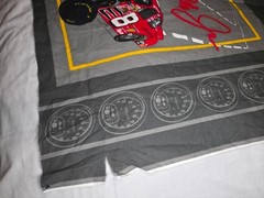 VINTAGE 2004 DALE EARNHARDT NASCAR FABRIC 59″ ~FREE US SHIPPING