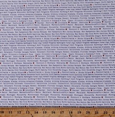 Cotton States Words United States Flag White Fabric Print by the Yard D306.51