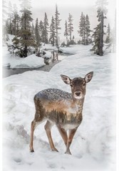 29″ X 44″ Panel Fawn Animals Call of the Wild Cotton Fabric Panel D374.75