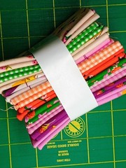 Heather Ross Trixie Fabric Bundle, 10 Pieces, 9×22, Fat Eighth Bundle Windham