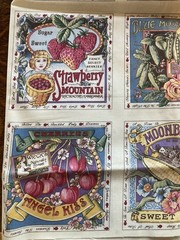 Vintage Secrets of the Garden Panel Fabric Blocks Joan Kessler USA 6 Squares