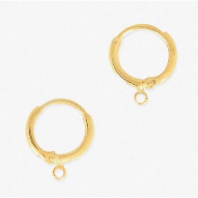 GoldieGuard Hypoallergenic Dangle Earring Hooks, 20 Pieces