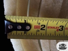 1/2 Inch Upholstery Foam Padding Sold by Continuous Yard