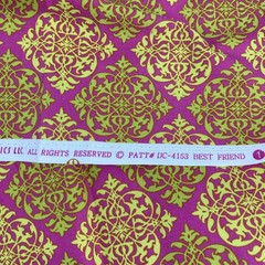 DC-4153 Best Friend Cotton Fabric 37” X 44” Pink Green Summer Soiree Paula Prass