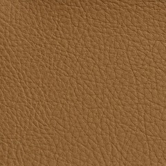 Janelle Palomino Stain Resistant Performance Vinyl Upholstery Fabric by the Yard