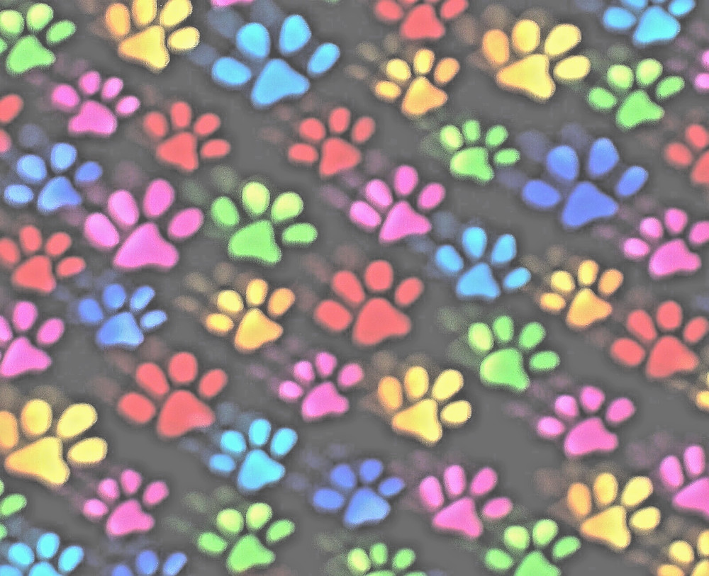 PREMIUM COTTON FABRIC – ALL OVER NEON KITTY PAWS ON BLACK – 1 1/2 YARDS