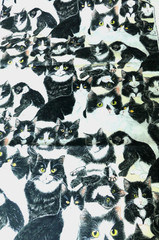 Tuxedo Cat Exclusively Quilters Fabric 4+ yds Black White Cats 160″x44″ Kitty