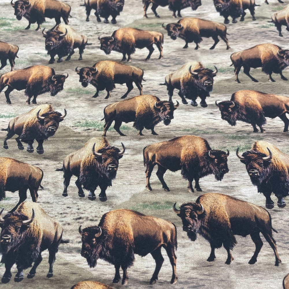 100% Cotton Buffalo Bison fabric By WINDHAM FABRICS