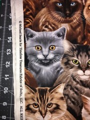 Cats All over Timeless Treasures Cotton Fabric 1/2 Yard (18 By 44”) New