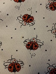2 1/4 Yd Ladybug One-way Stretch Knit Fabric 60″ Wide