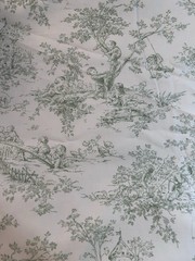P Kaufmann Green Central Park Nursery Toile Fabric 54”Wide 2.5 Yds Out Of Print