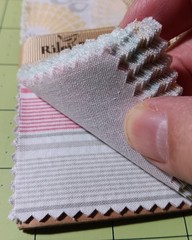 Willow by My Minds eye for Riley Blake 3- 5″ stackers & 2 yds fabric