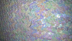 EUC iridescent white sequined fabric on white cotton knit backing, 1.5ydLx34″W