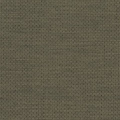 Fabian Basil Green Stain Resistant Performance Upholstery Fabric by the Yard