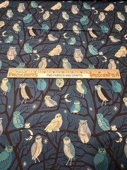 MODA Ruby Star Halloween Freaky Familiars100% cotton fabric by the yard RS519012