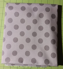 Willow by My Minds eye for Riley Blake 3- 5″ stackers & 2 yds fabric