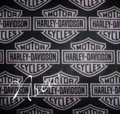 HARLEY DAVIDSON Motorcycle Fabric SILVER Logo on Black Quilting Sewing 27 X 23