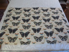 5151. Bryant Ind. BUTTERFLIES Drapery Upholstery COTTON FABRIC – 53-1/2″ x 1 yd.