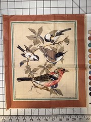 Vintage American Song Bird Fabric Panel 11.5” x 13” Cotton