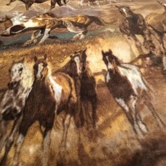 Born To Run Wild Horse Theme Fleece Fabric A Little Over 5 Yards 59 Inches Wide