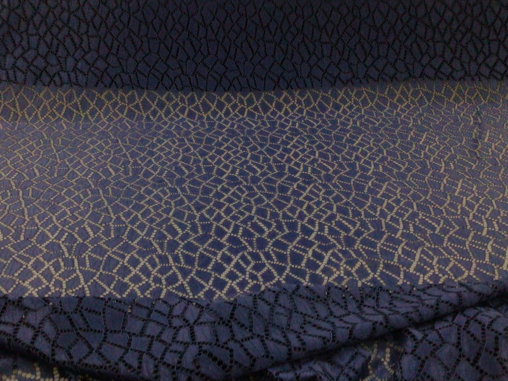 Embroidered Stretch Lace Apparel Fabric Sheer Abstract Space Blue WW414