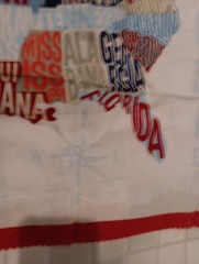 USA Cotton Map 23.5″ X 44″ Panel United States of America Fabric Panel Windham