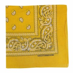 Paisley Bandana 22″ x 22″ 100% Cotton – Wide Selection