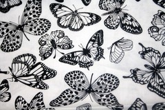 ALL OR NOTHING BUTTERFLIES IN BLACK AND WHITE FROM STUDIO E- 100% COTTON FABRIC