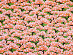 Cherry Blossom Trees? Asian Cotton Small Remnant by Springs Creative Products