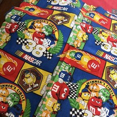 M&M’s NASCAR Elliott Sadler Winner’s Circle Racing-Fabric 19×34” Peanut Regular