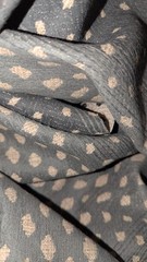 2 Plus Yards 60″ Wide Animal Print Upholstery Material
