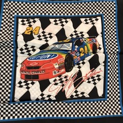 Jeff Gordon Fabric 3 Yards X 43 In. 1996 Car #24 Hendrick Motorsports Race Car