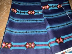 Cranston Print Works Co. Cotton Fabric Southwest 45” X 112” (3 Yards)
