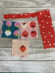 Cotton Fabric RSS Scraps Quilting Sewing Stamps 16 Pieces 🍓 🐈 🐟