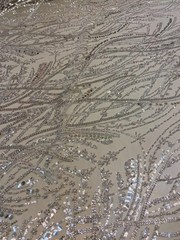 White Luxury Sequin Fabric on Mesh Beaded Sequin Lace – Glamorous Evening fabric