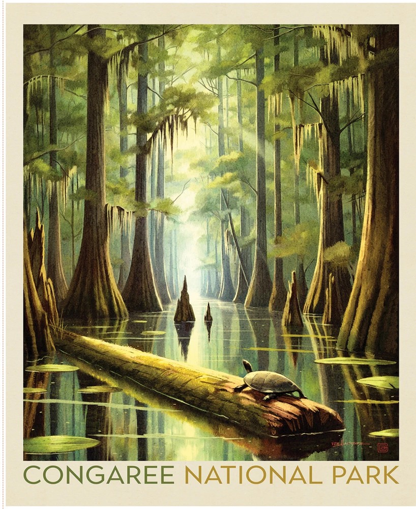 Congree Poster Panel National Parks 35 1/2in x 43 1/2in