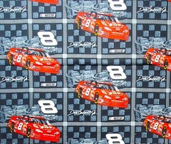 Dale Earnhardt Jr. # 8 NASCAR Cotton Fabric 40″ x 45½” #5635 ©2002 Racing